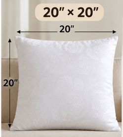 Brand New Pillow Inserts with Zipper Set – $8