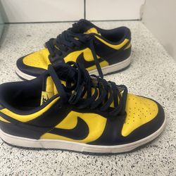 Nike Dunk Michigan Size 10