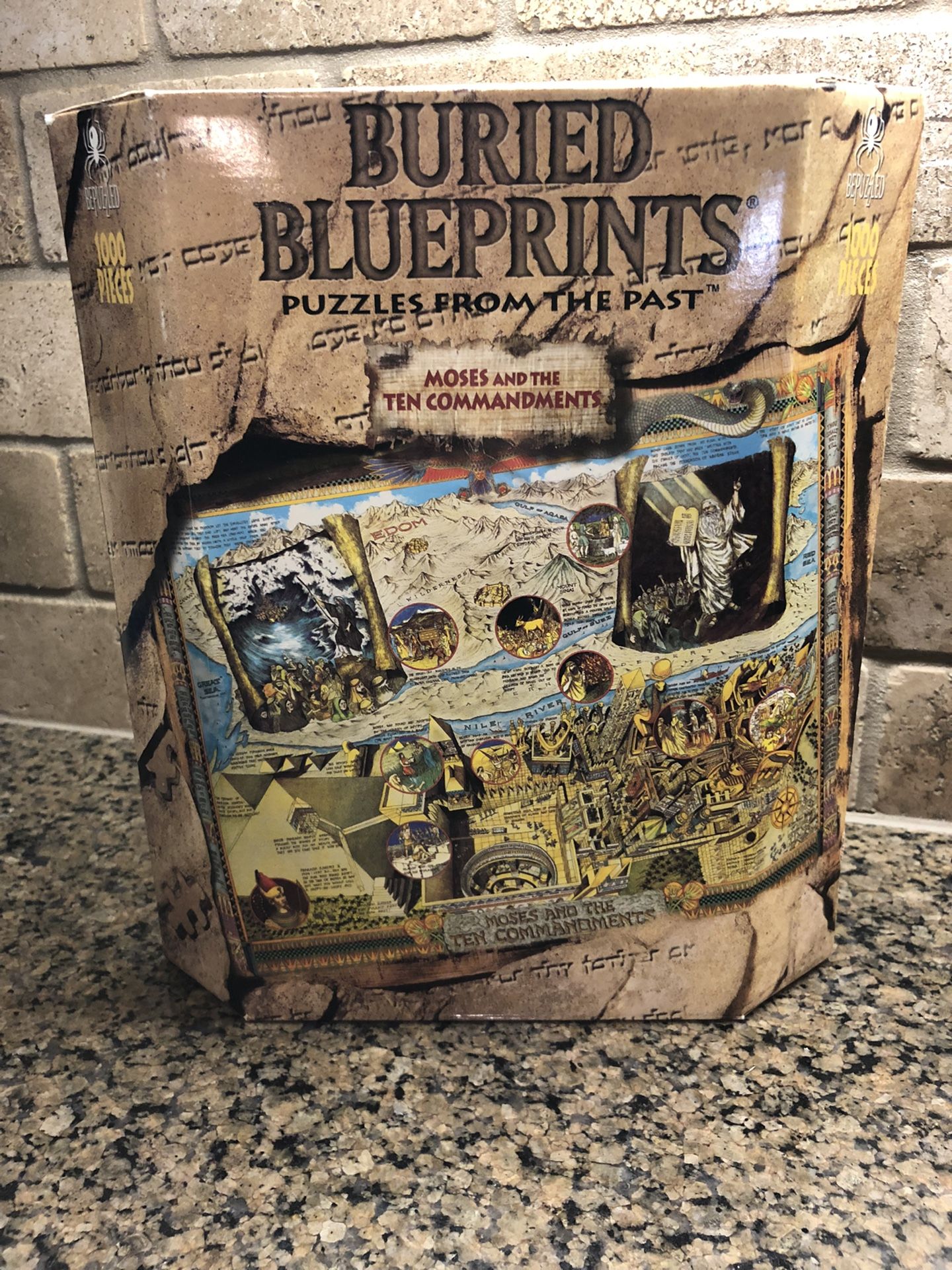 Buried Blueprints  1000 Piece Puzzle