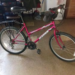 15 speed lady's mountain bike magna Shimano aluminum custom