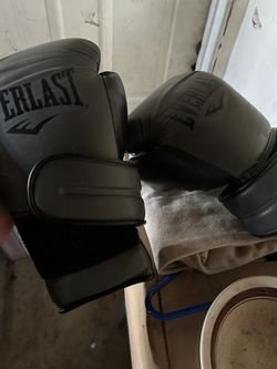 Everlast Boxing Gloves