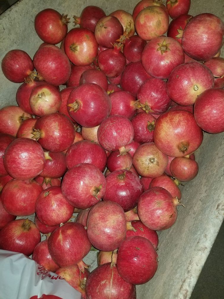 Organic Pomegranates