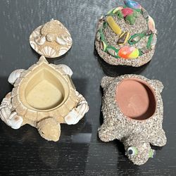  BothTurtle 🐢 Decoration 