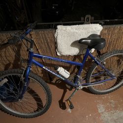 Mountain Bike