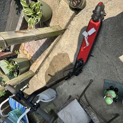 Ninebot Segway Electric Scooter