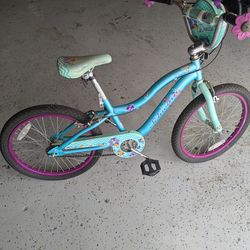 Schwinn Kids Bicycle