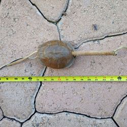 Turtle Shell Rattle