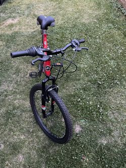 Bike Gauntlet 24 Inch