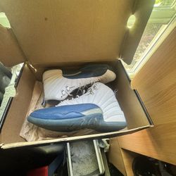 Air Jordan French Blue 12s