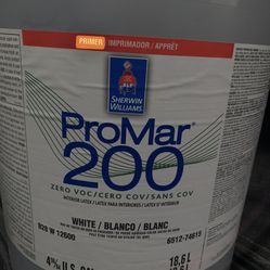 Primer New White Blanco Paint Pintura