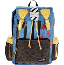 Bioworld Birds of Prey Harley Quinn Bruce Laptop Backpack 17” DC Comics NWT