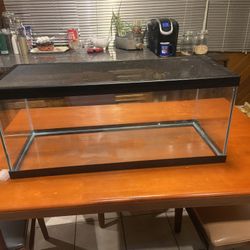 20 Gallon Tank With Lid 