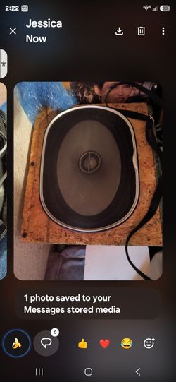 Vehicle speakers