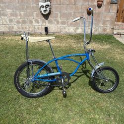 Vans Theme Stingray Build For Store Display