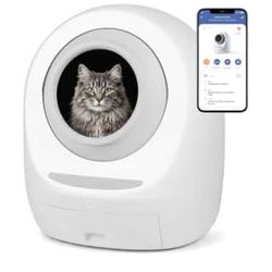 Casa Leo Cat Litter Box