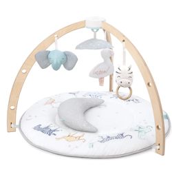 Aden + Anais Baby Activity Gym - Rising Star