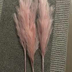 Pampas  Pink /rosa