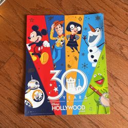 Disney 30 Year Hollywood Studios Poster 