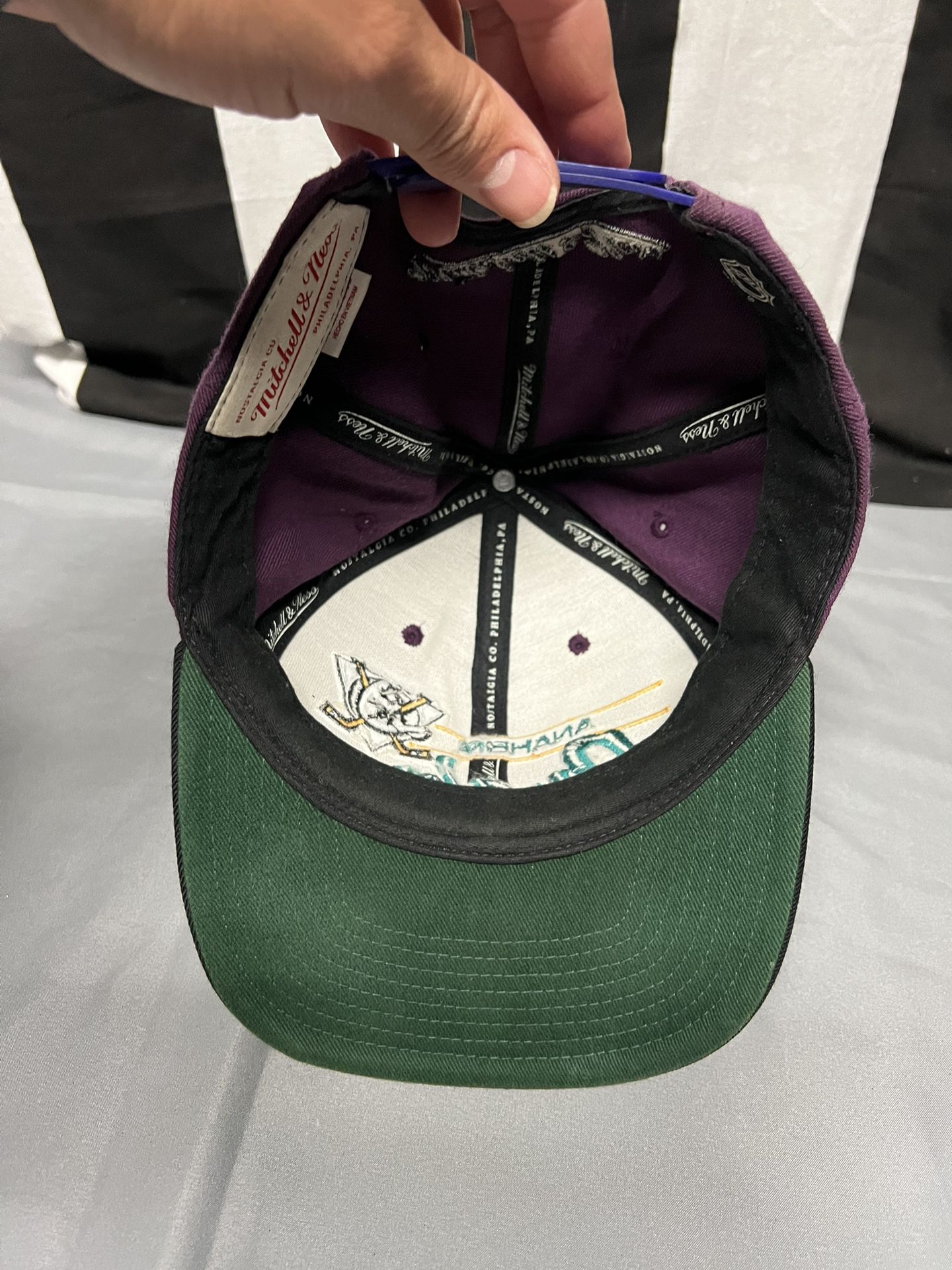 VIntage Anaheim Mighty Ducks Snapback Hat Competitor NHL Hockey Adjustable  Cap for Sale in San Ramon, CA - OfferUp