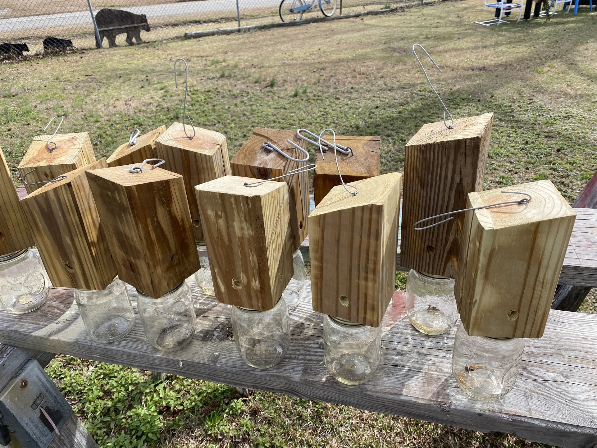 Carpenter Bee Traps