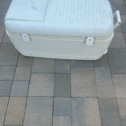 Igloo Cooler 