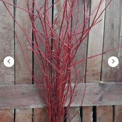 Red Dogwood Decor