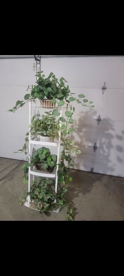 Plant holder