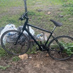 Cannondale Quick 2024