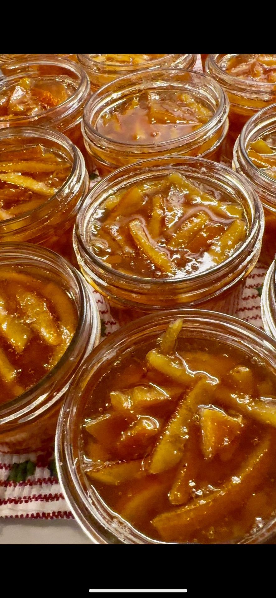 Homemade Citrus Marmalade