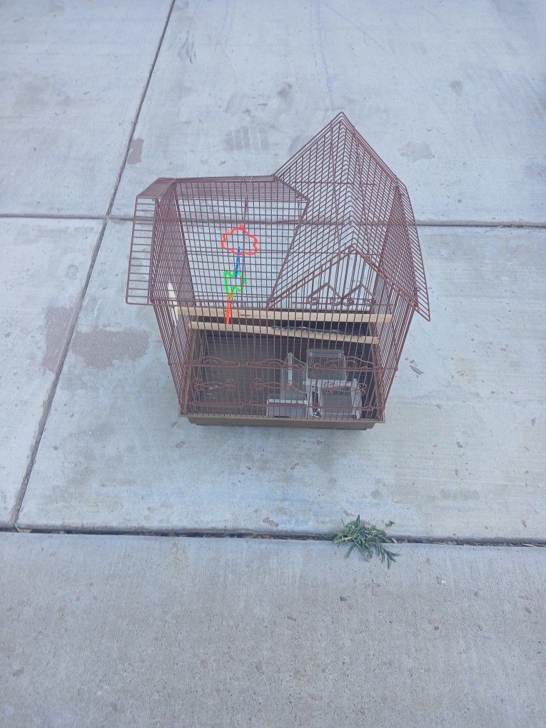 Bird Cage