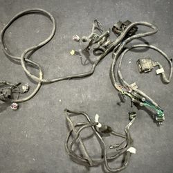 Western Plow Headlight Harness 17 F250