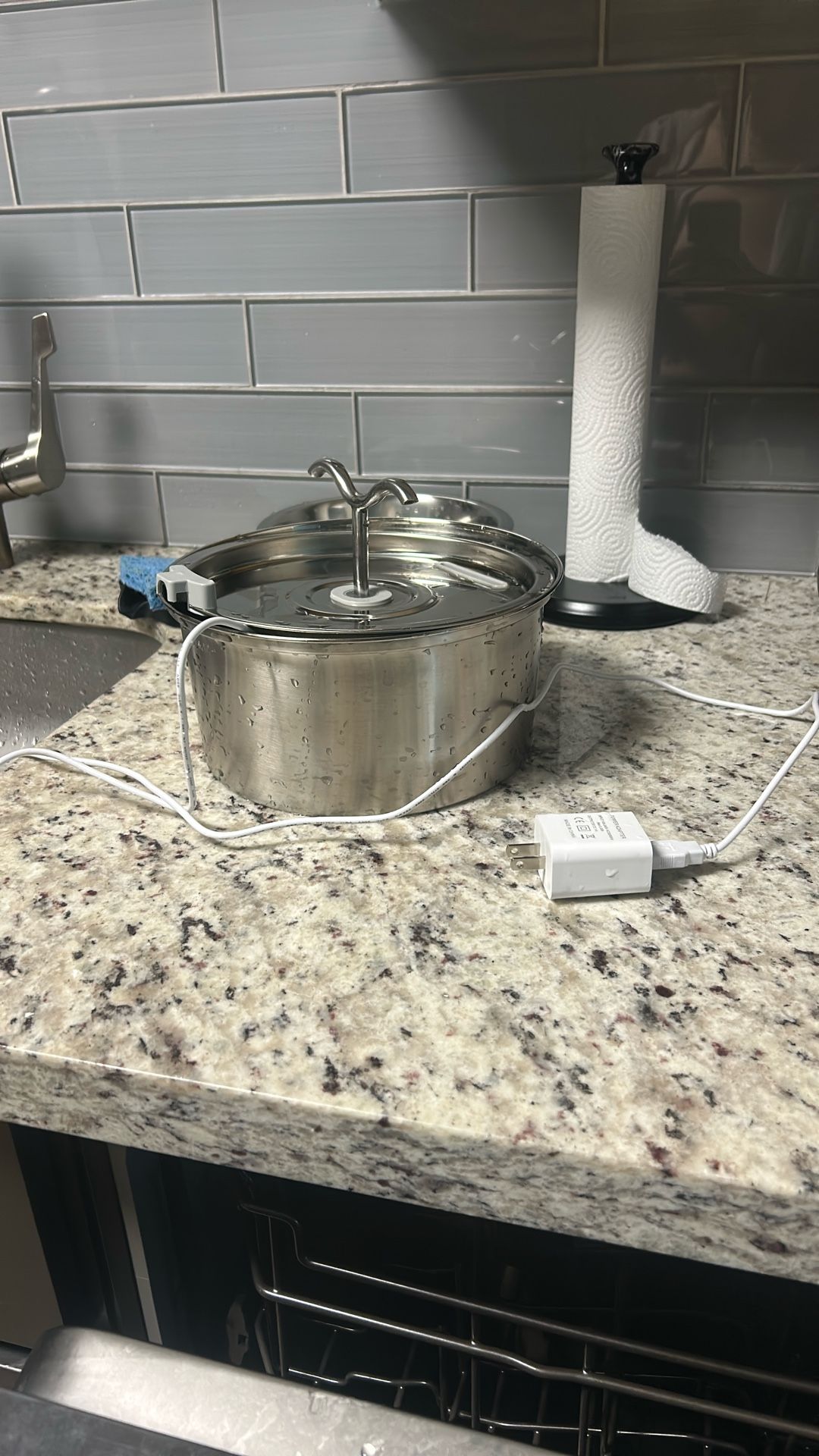 Electric Dog Water Bowl