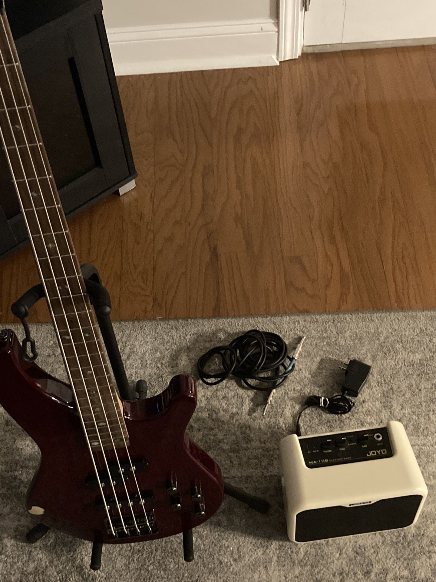 Beginner Mitchell Bass W Practice Amp