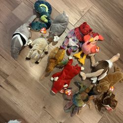 ty 12 Pieces All Of Them For $20. 