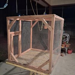 Bird Cage