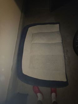 Never used 48in dog bed