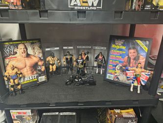 WWE action figures