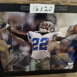 Emmitt Smith 16x20 JSA Certified Autographed Framed 