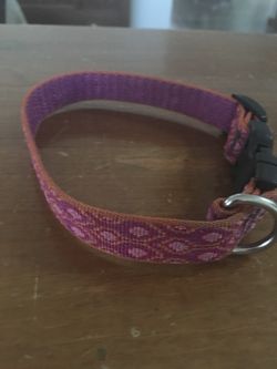 Pink and purple puppy collar