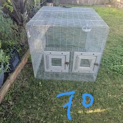 Birds Cage