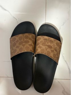 Coach slides