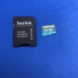 256 GB Micro SD Card SAMSUNG