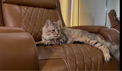 CHITA Victor Genuine Leather Power Recliner with Heat & Cooling  (see description )