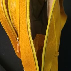 Ladys Purse/backpack 