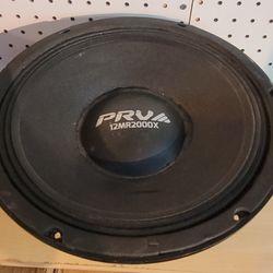 Prv Voice Speaker 