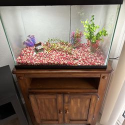 30 Gal Fish Tank & Stand