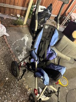 Free handicap stroller