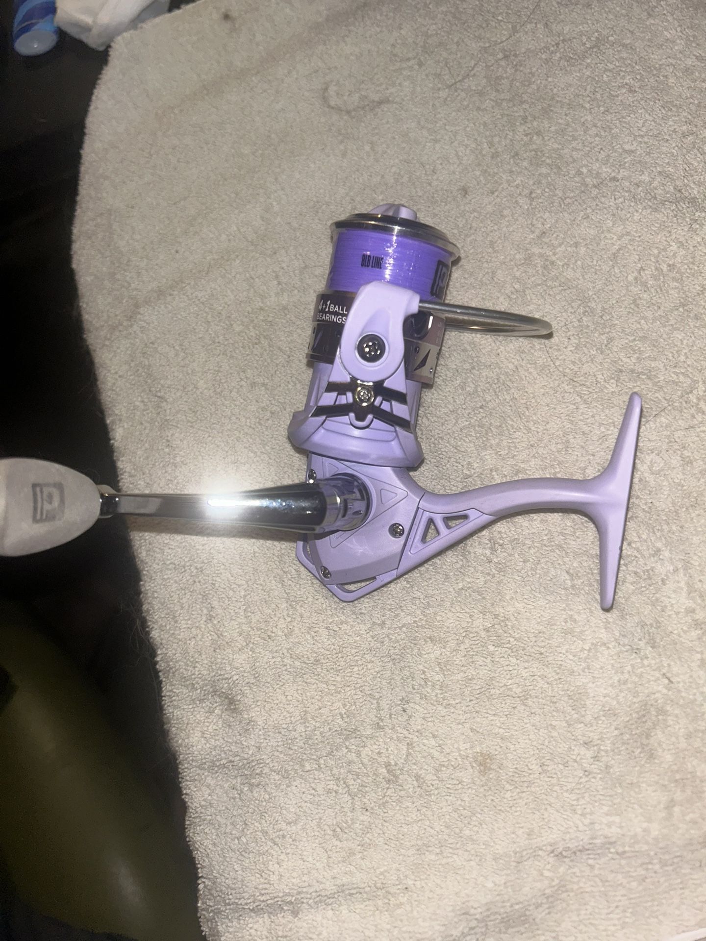 IP Proficiency Stream Queen