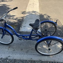 3 Wheeler Bike Made By Schwinn Come With A Basket Used Spin In My Storage Unit Very Nice