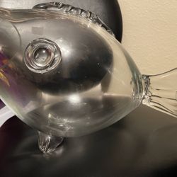 Fish Bowl